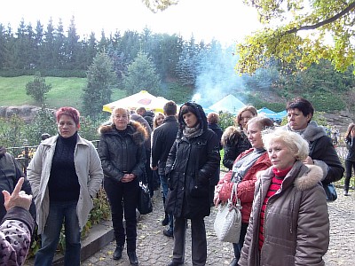 ip_011013050061