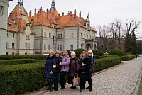 zgl_0004133